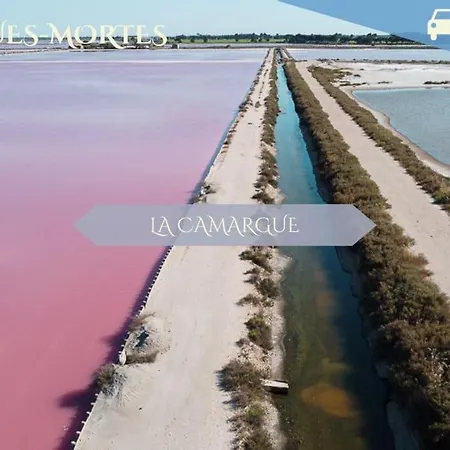 公寓 033- Le Piree, Rives Du Lez, Studio - Parking 蒙彼利埃